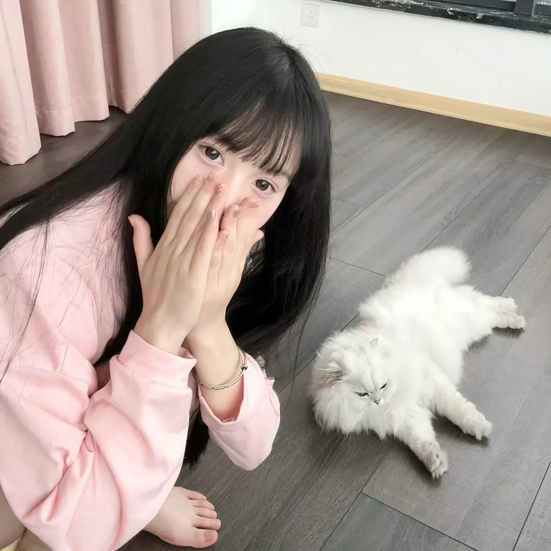 一本未完的漫画